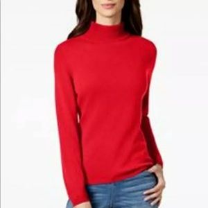 Cozy Cashmere Sweater Turtleneck Top
